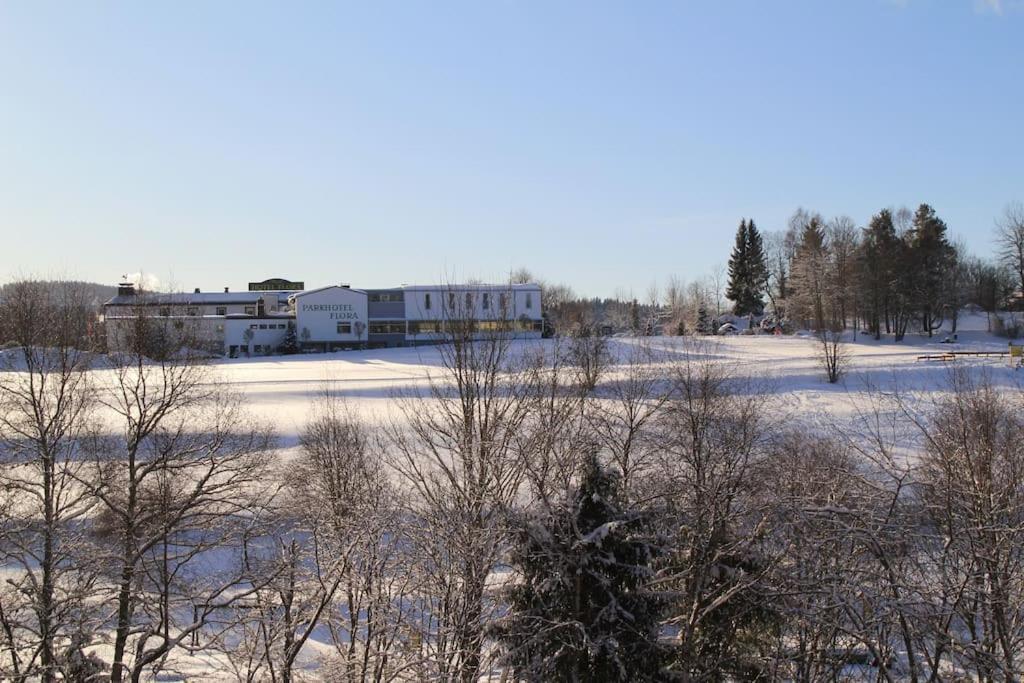 Peter - Familienurlaub Mit Indoorpool Apartment Schluchsee